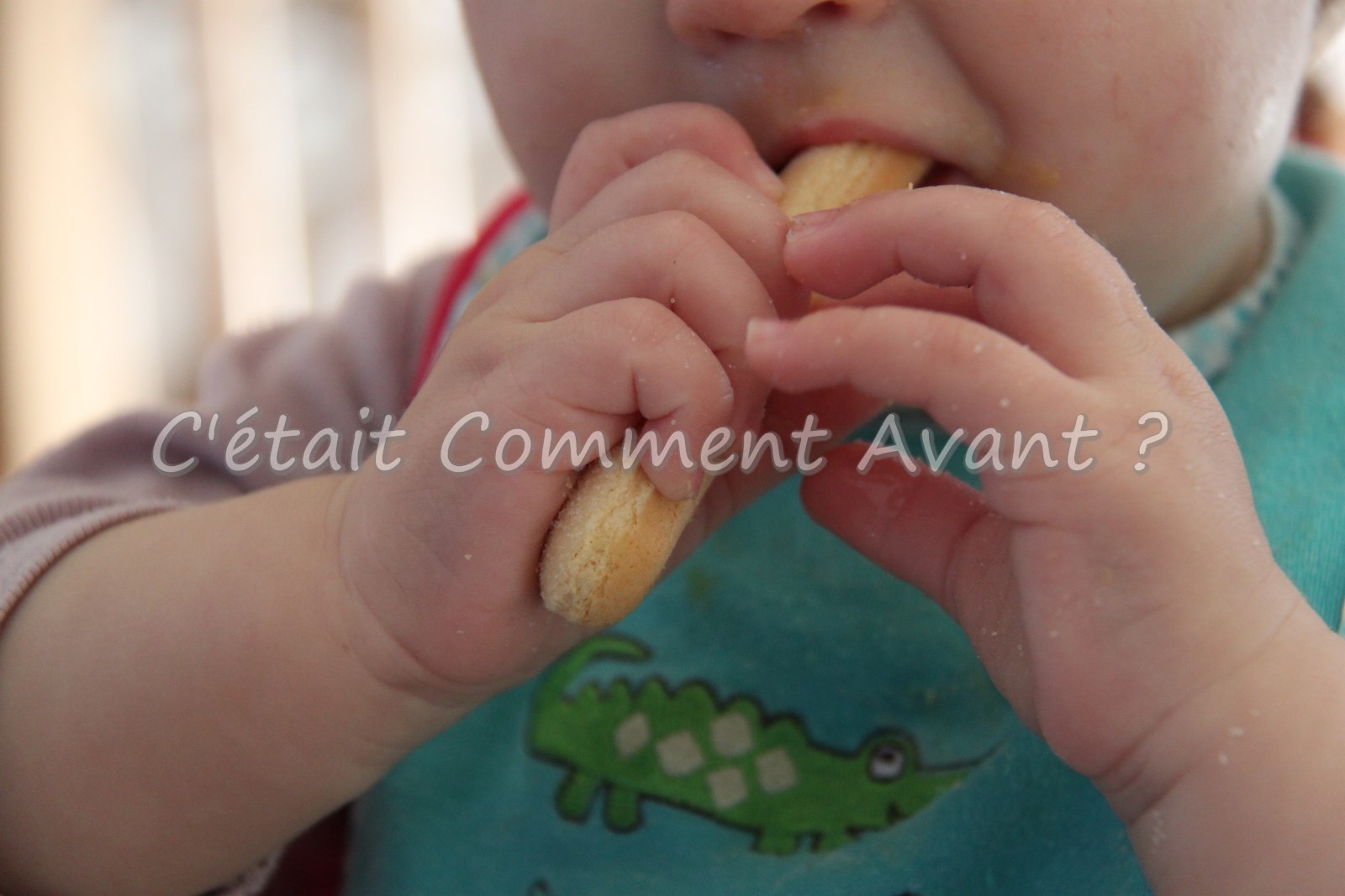 Goûter son premier boudoir...et ne pas en vouloir !