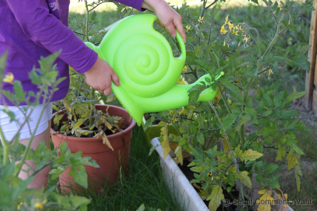 Arroser les tomates cerises avec son escargot !