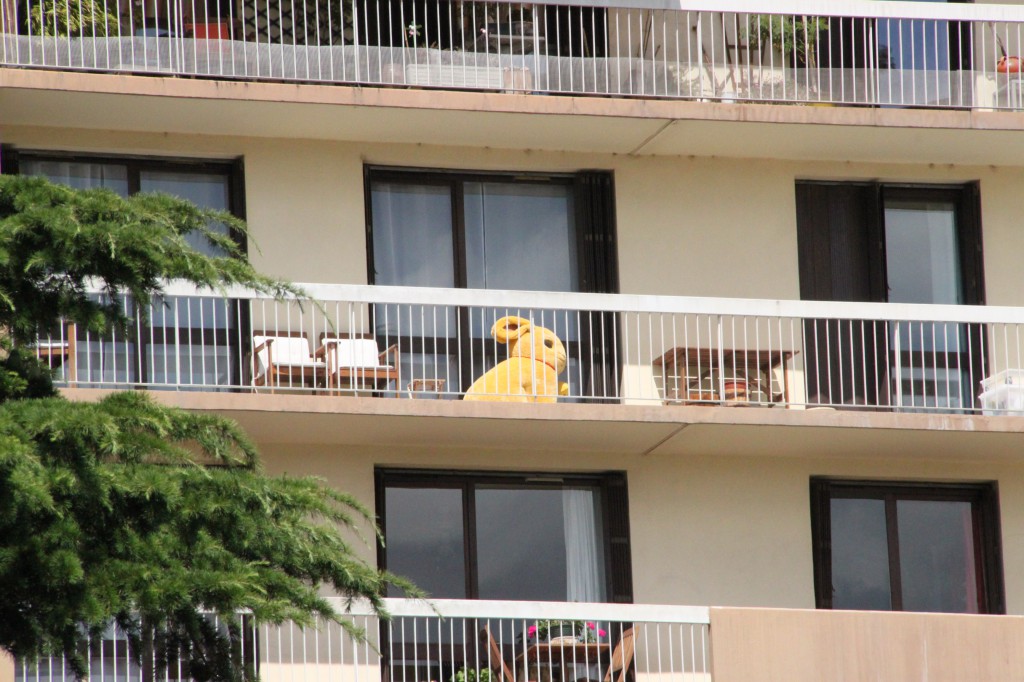 Aperçevoir un gros lapin sur un balcon !