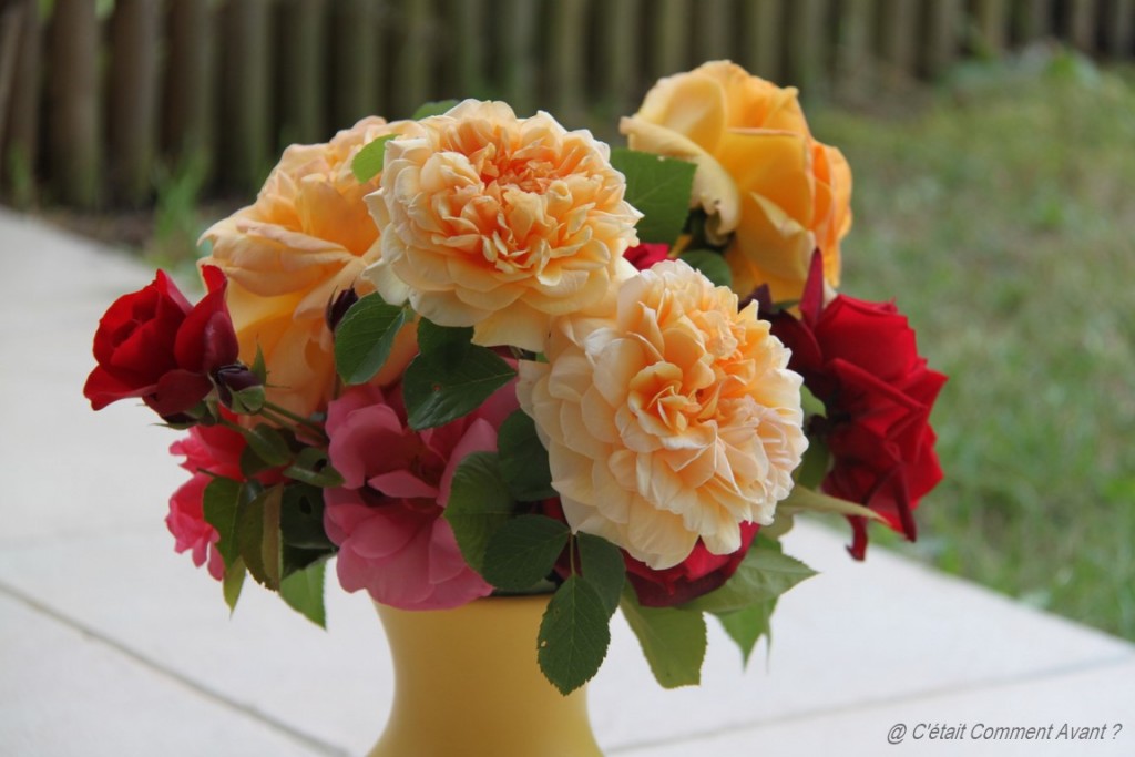 S'offrir des roses du jardin