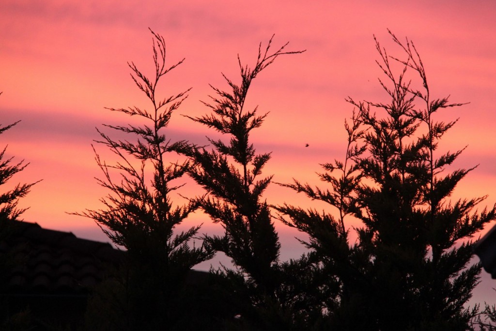 Avoir de superbes couleurs chaque soir dans le ciel