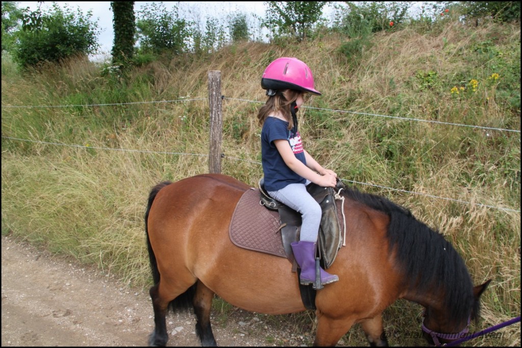 Avoir un poney un peu têtu qui ne voulais que manger !