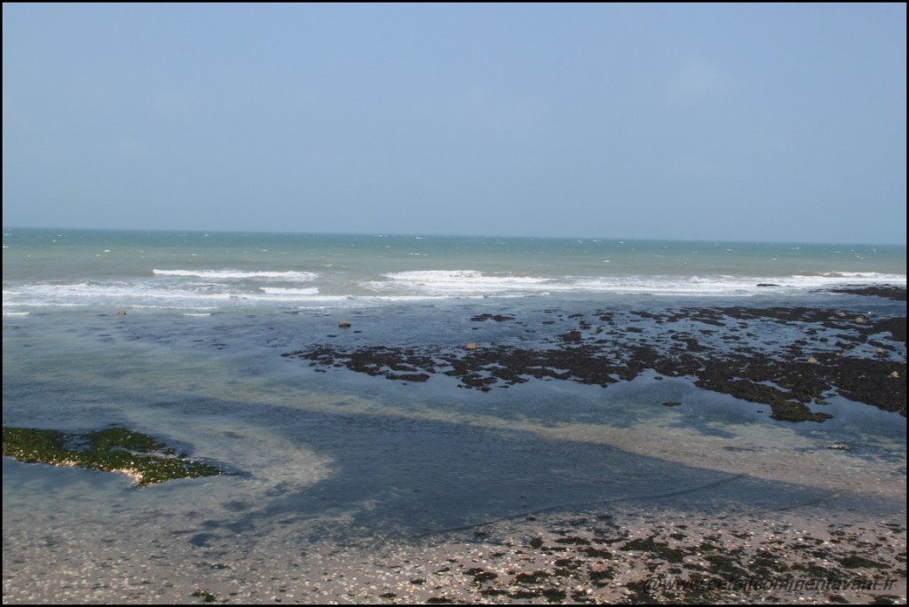 Aimer le paysage à marée basse