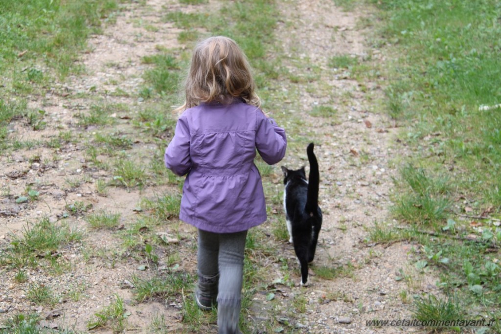 Avoir un compagnon de balade